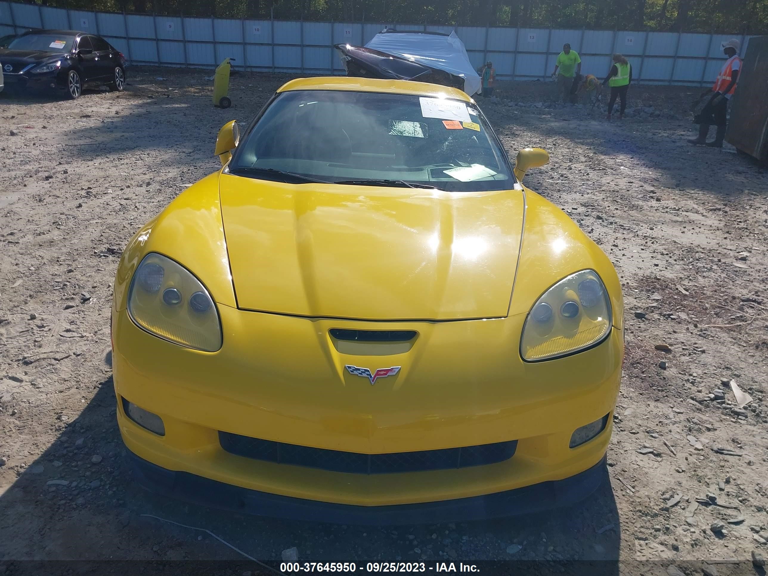 Photo 11 VIN: 1G1YY26E175123130 - CHEVROLET CORVETTE 