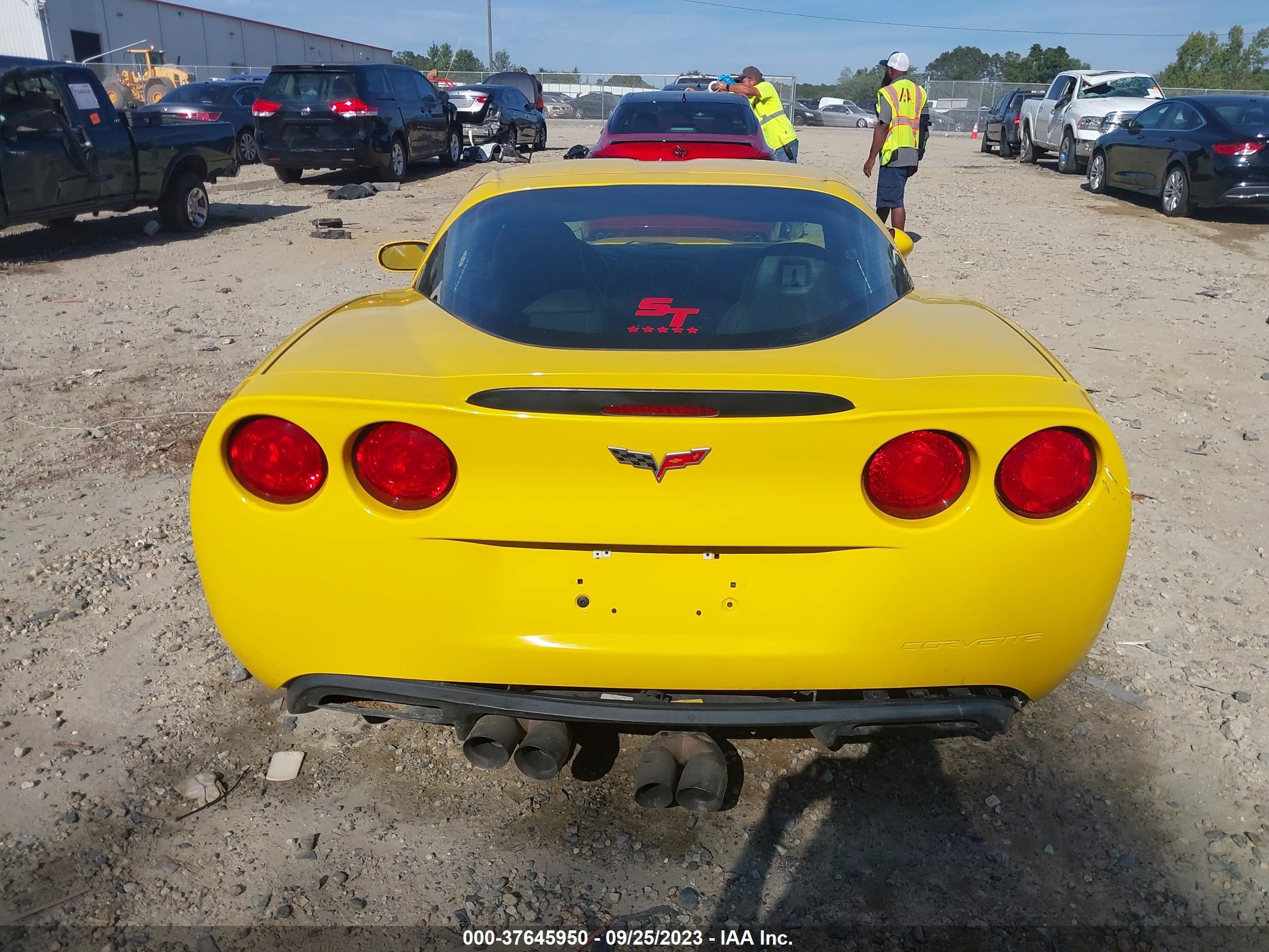 Photo 15 VIN: 1G1YY26E175123130 - CHEVROLET CORVETTE 