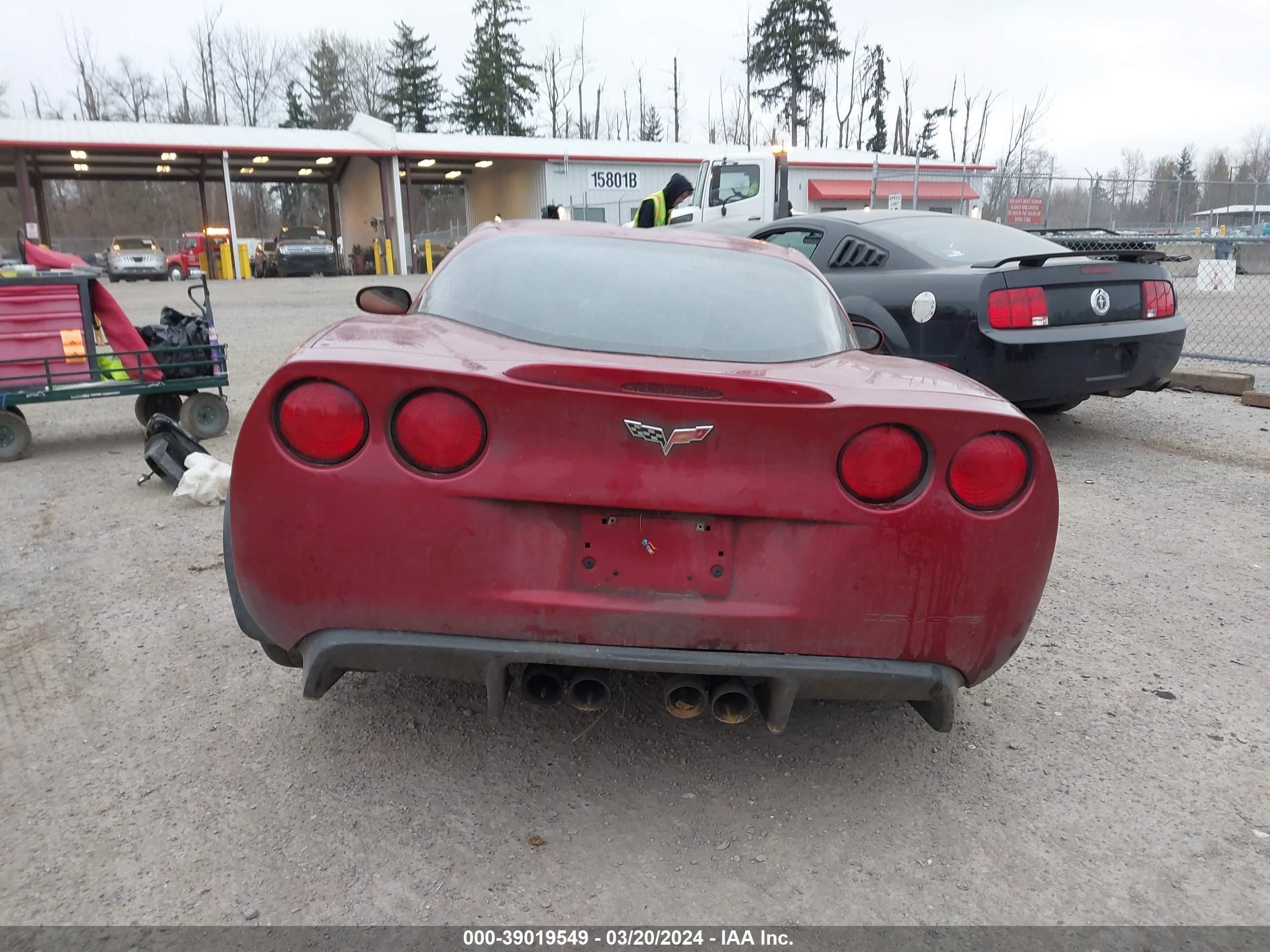 Photo 15 VIN: 1G1YY26E185127356 - CHEVROLET CORVETTE 