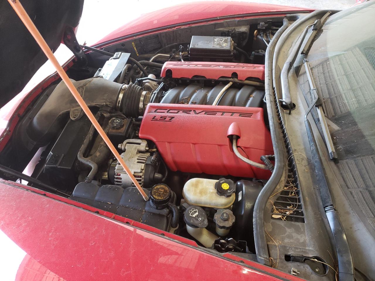 Photo 10 VIN: 1G1YY26EX85119806 - CHEVROLET CORVETTE 