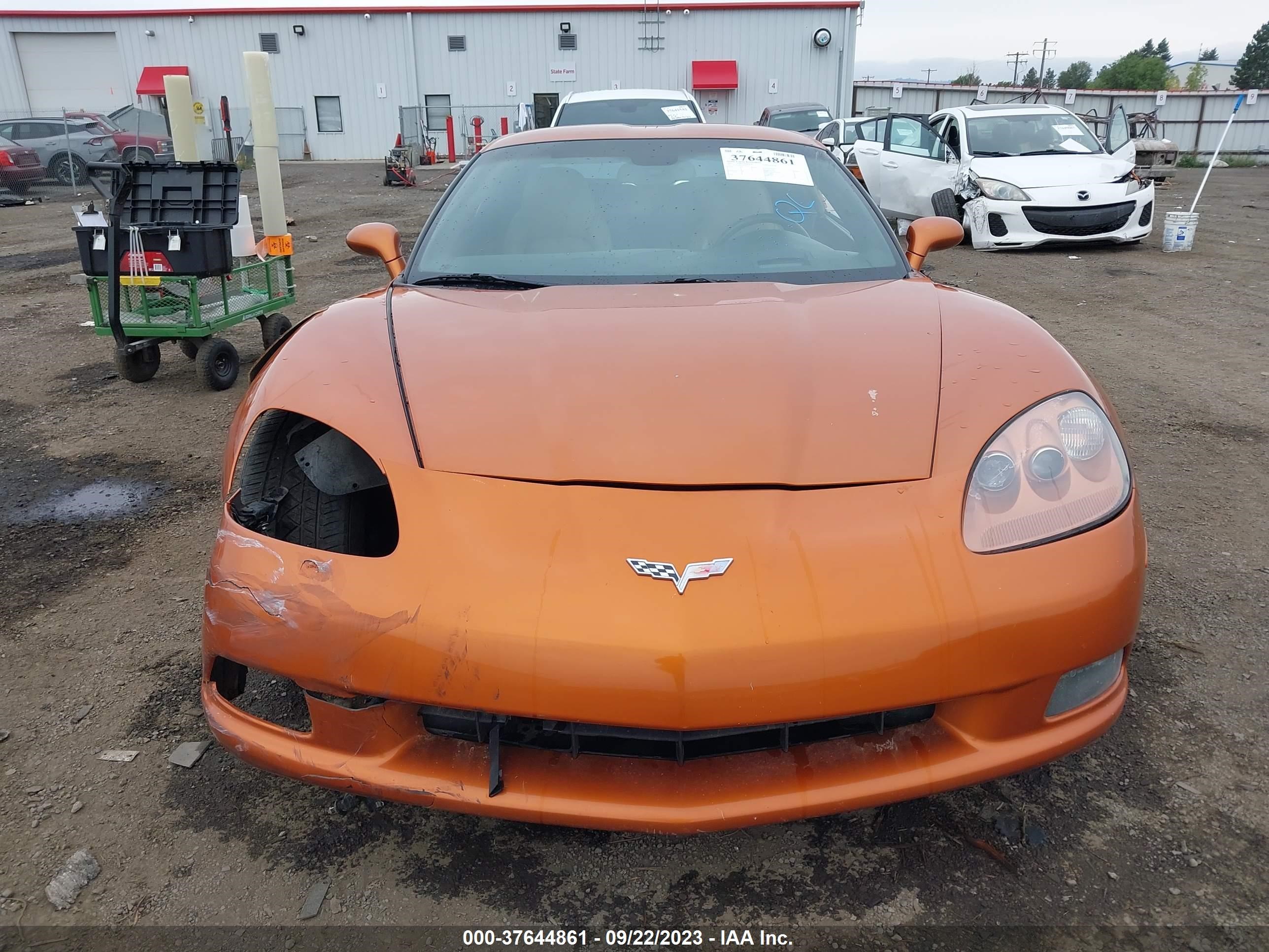 Photo 11 VIN: 1G1YY26U475111321 - CHEVROLET CORVETTE 