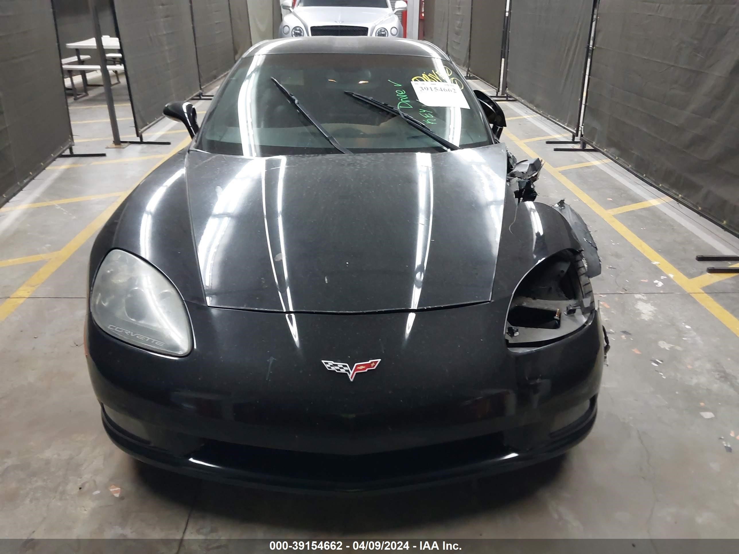 Photo 12 VIN: 1G1YY26U675101907 - CHEVROLET CORVETTE 