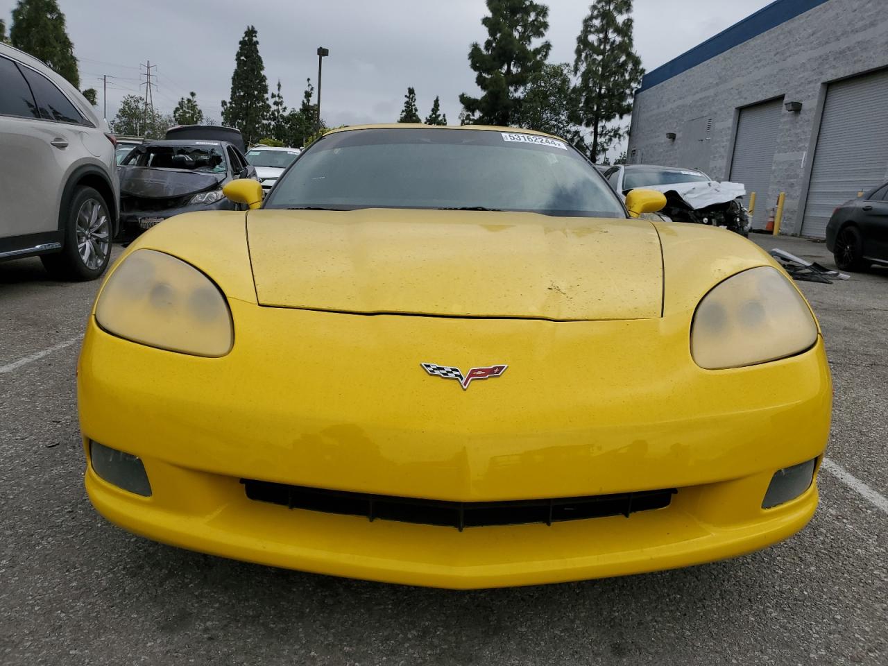 Photo 4 VIN: 1G1YY26U765129701 - CHEVROLET CORVETTE 