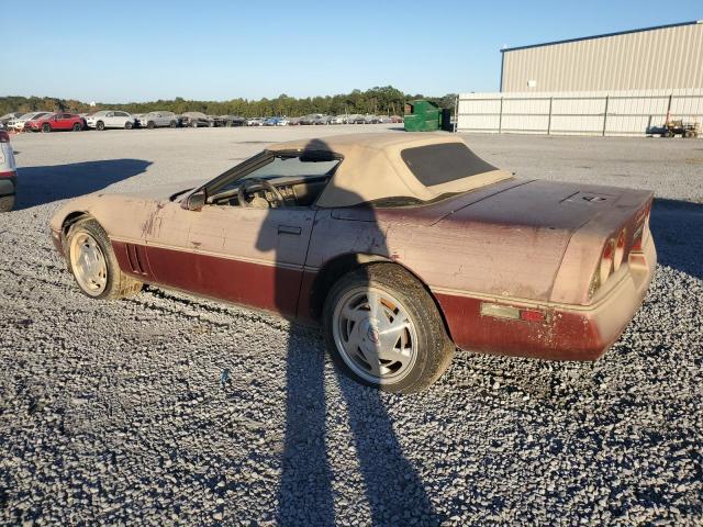 Photo 1 VIN: 1G1YY3181J5121828 - CHEVROLET CORVETTE 