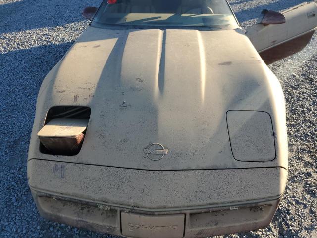 Photo 10 VIN: 1G1YY3181J5121828 - CHEVROLET CORVETTE 