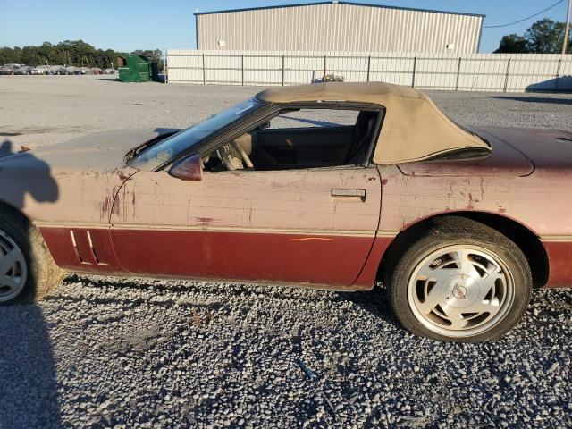 Photo 11 VIN: 1G1YY3181J5121828 - CHEVROLET CORVETTE 