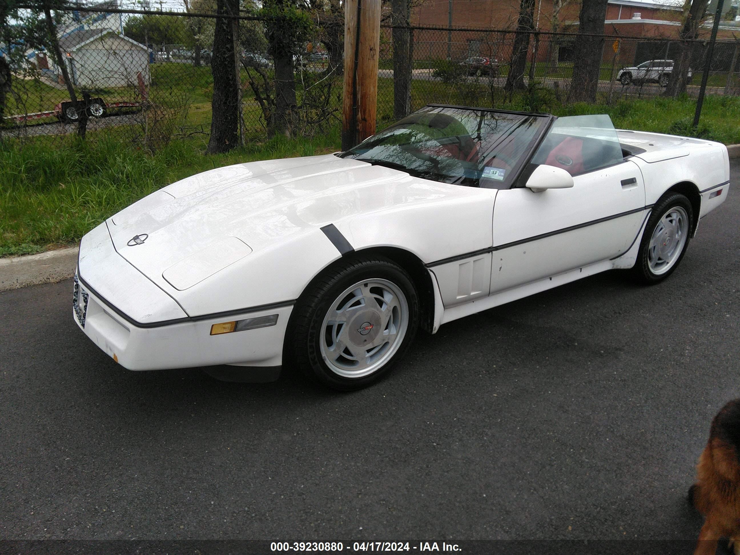 Photo 1 VIN: 1G1YY3182J5106254 - CHEVROLET CORVETTE 