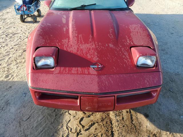 Photo 10 VIN: 1G1YY3182K5101010 - CHEVROLET CORVETTE 