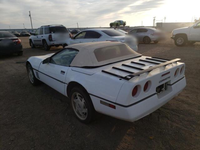 Photo 2 VIN: 1G1YY3187K5117378 - CHEVROLET CORVETTE 