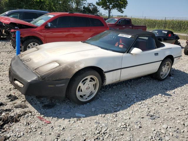 Photo 0 VIN: 1G1YY3188J5120675 - CHEVROLET CORVETTE 