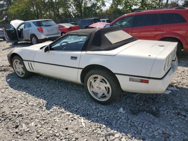 Photo 1 VIN: 1G1YY3188J5120675 - CHEVROLET CORVETTE 