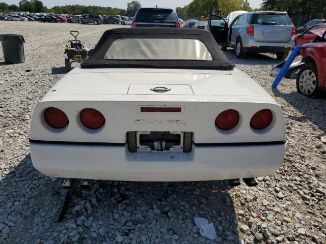 Photo 5 VIN: 1G1YY3188J5120675 - CHEVROLET CORVETTE 