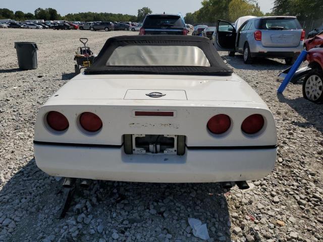 Photo 9 VIN: 1G1YY3188J5120675 - CHEVROLET CORVETTE 