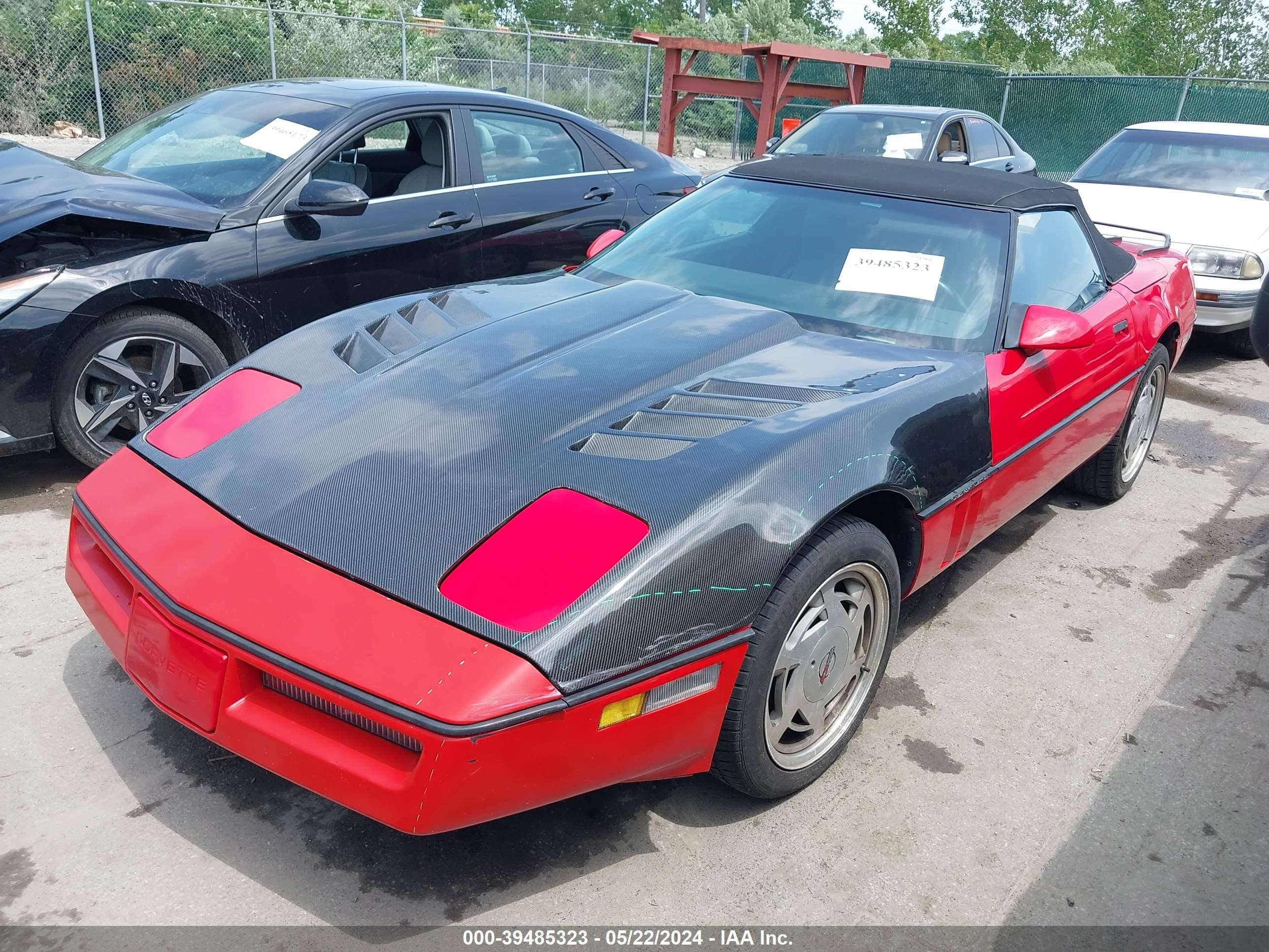 Photo 1 VIN: 1G1YY3189K5122842 - CHEVROLET CORVETTE 