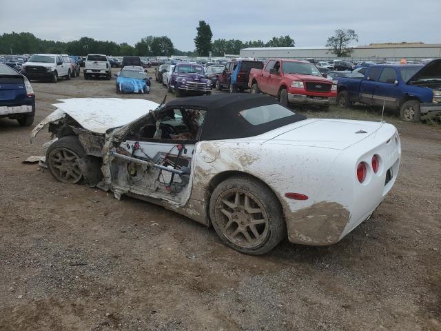 Photo 1 VIN: 1G1YY32G2X5110805 - CHEVROLET CORVETTE 