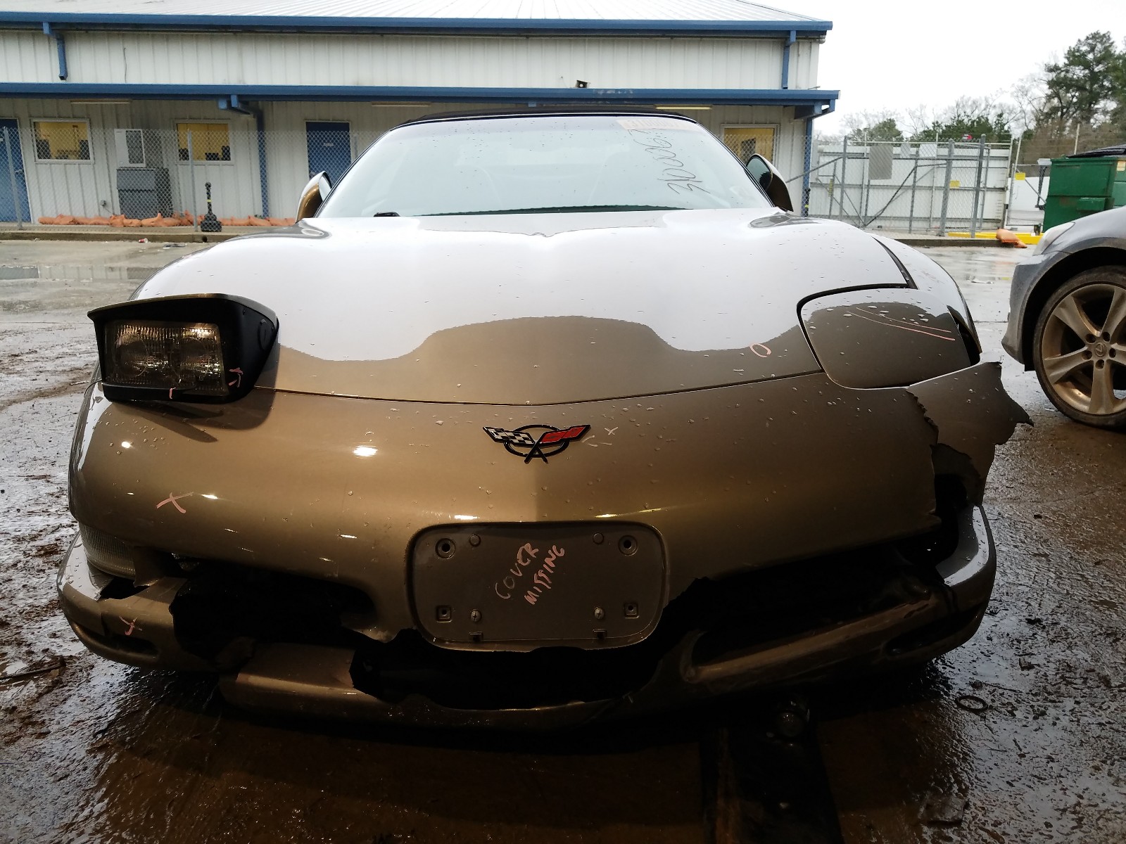 Photo 8 VIN: 1G1YY32G325124818 - CHEVROLET CORVETTE 