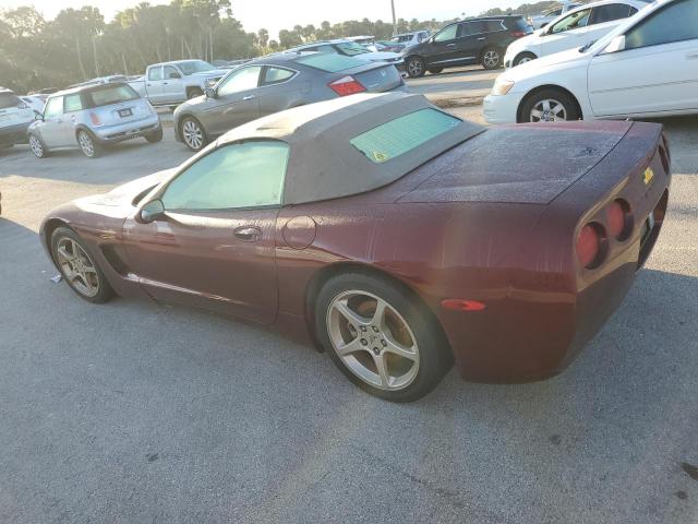 Photo 1 VIN: 1G1YY32G335128904 - CHEVROLET CORVETTE 