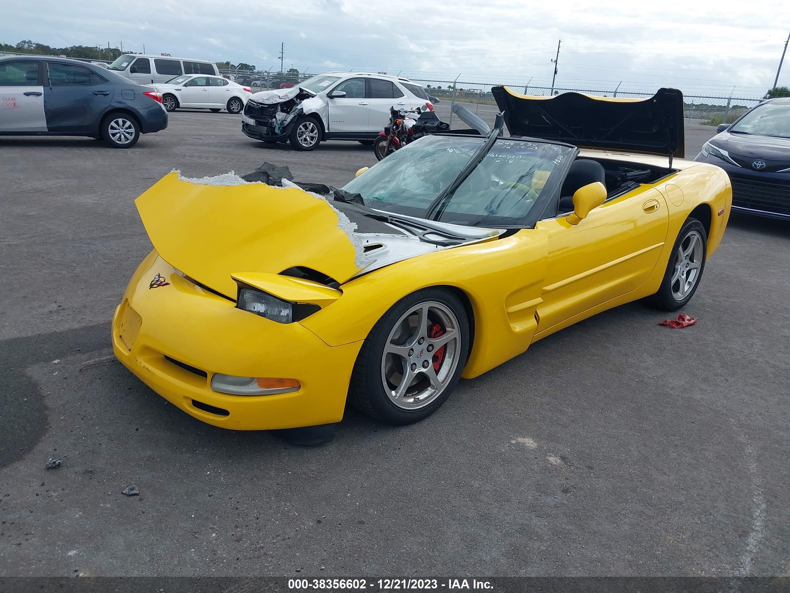 Photo 1 VIN: 1G1YY32G445109389 - CHEVROLET CORVETTE 