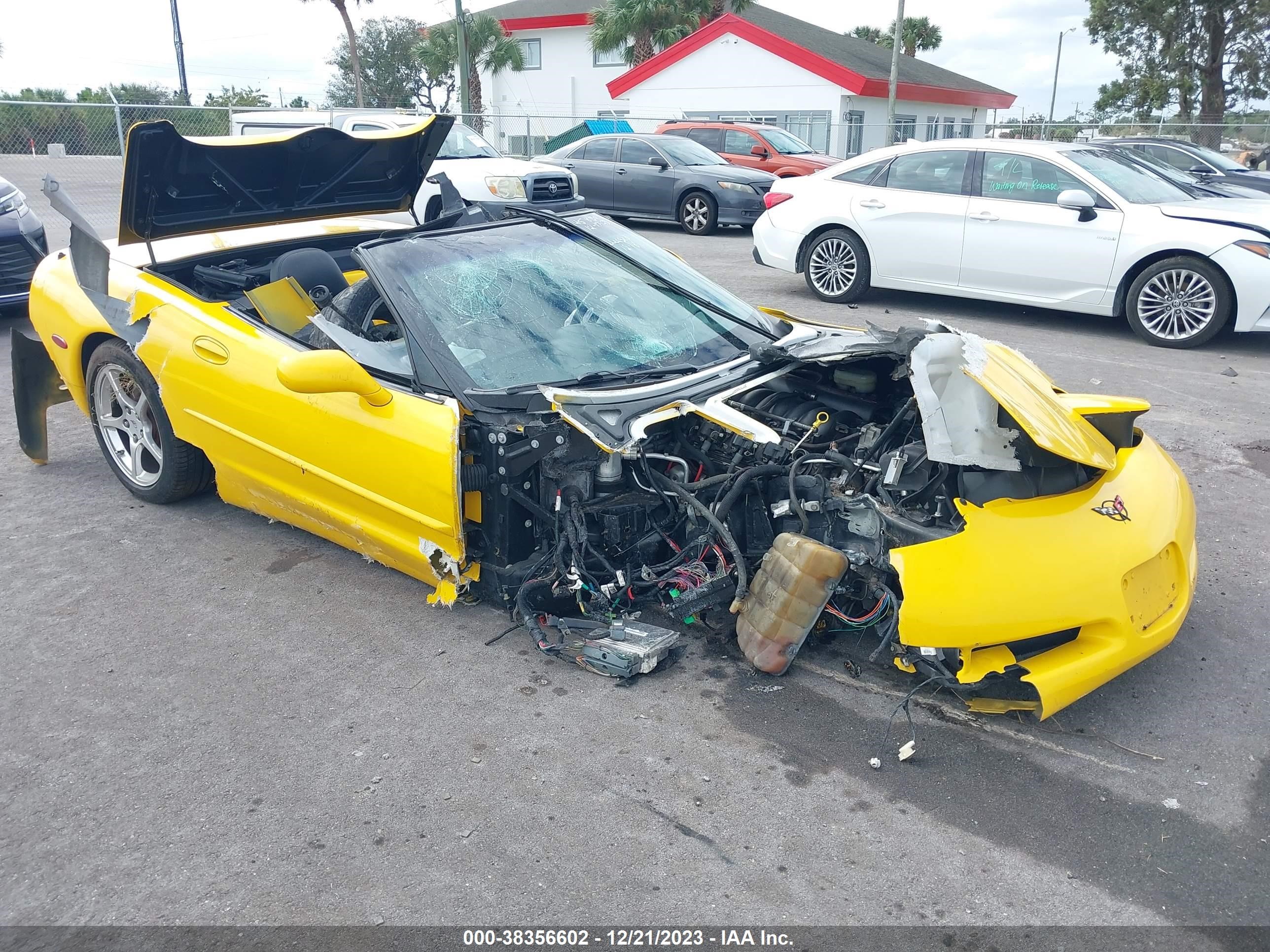 Photo 5 VIN: 1G1YY32G445109389 - CHEVROLET CORVETTE 