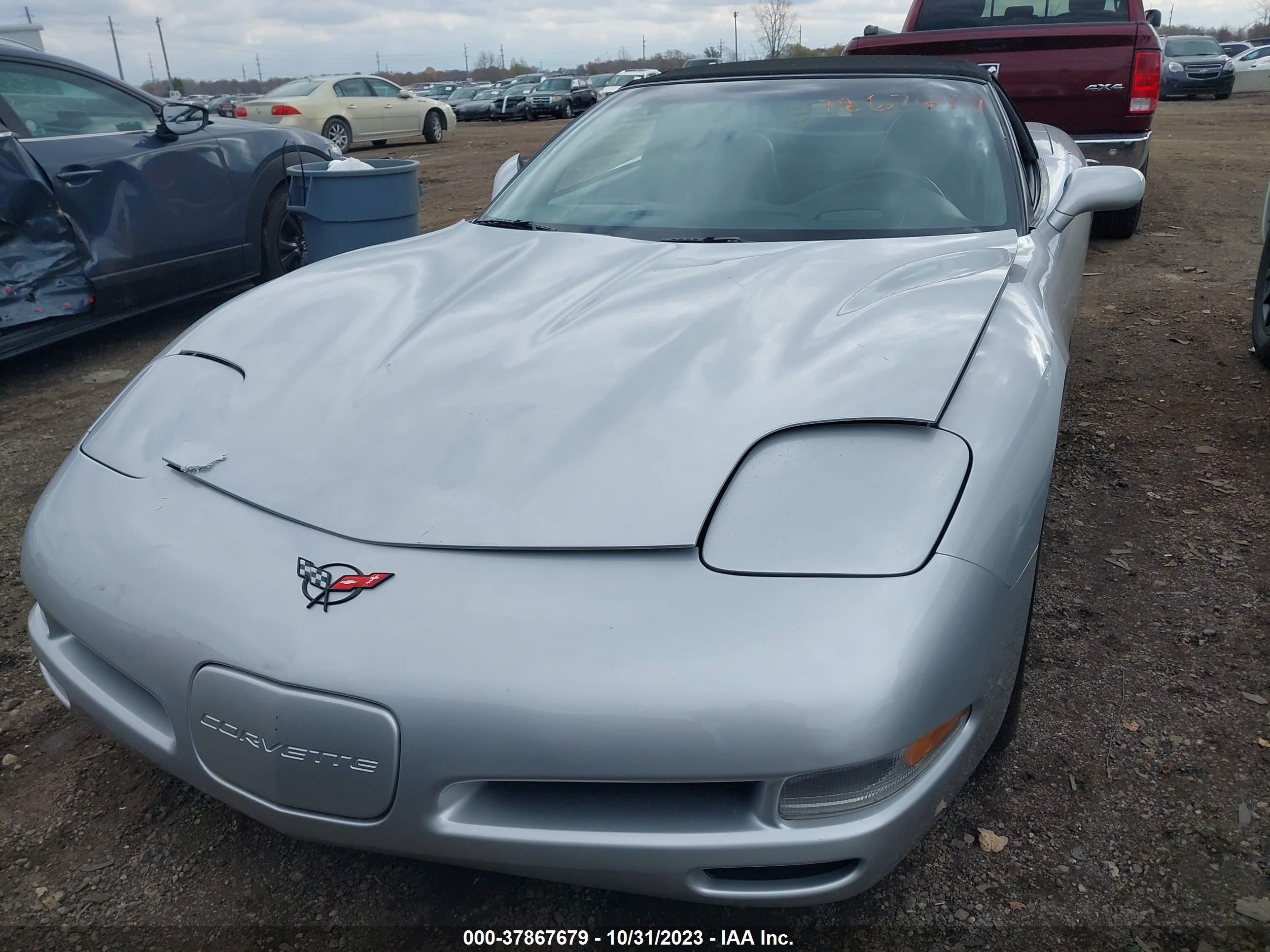 Photo 5 VIN: 1G1YY32G915106225 - CHEVROLET CORVETTE 