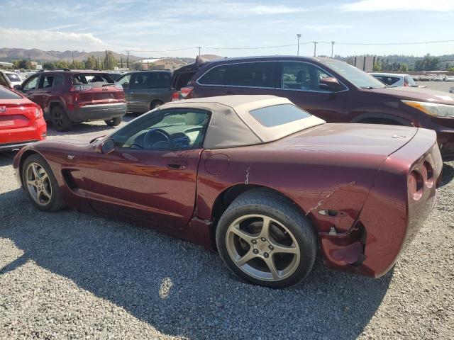 Photo 1 VIN: 1G1YY32G935131919 - CHEVROLET CORVETTE 