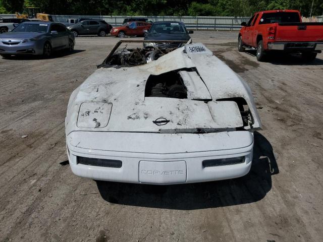 Photo 4 VIN: 1G1YY32P7T5110518 - CHEVROLET CORVETTE 