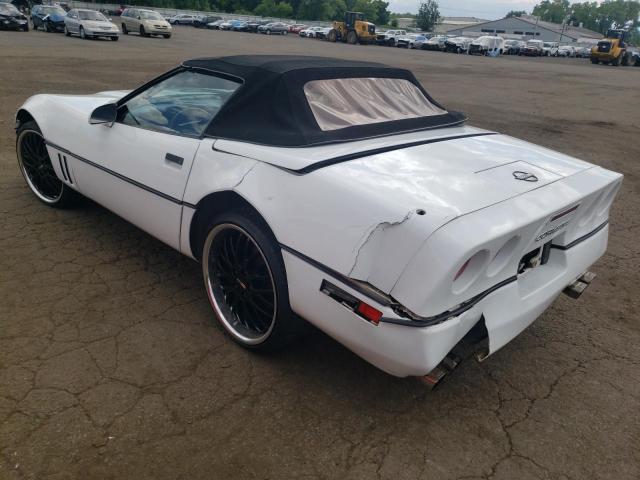 Photo 1 VIN: 1G1YY3381L5112949 - CHEVROLET CORVETTE 