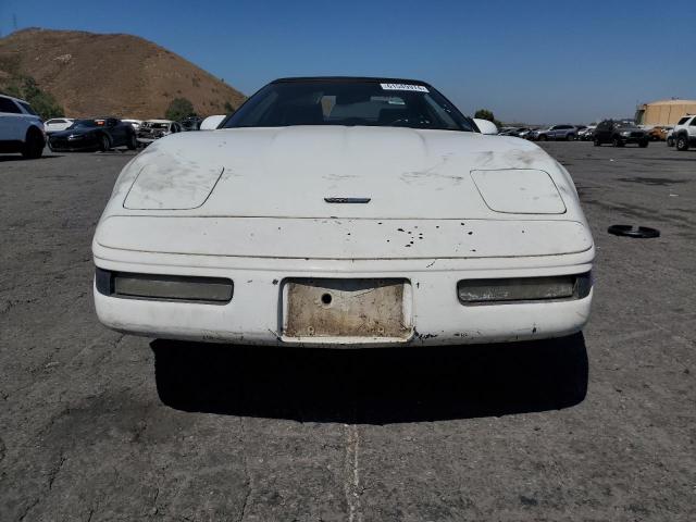 Photo 4 VIN: 1G1YY3382M5116798 - CHEVROLET CORVETTE 