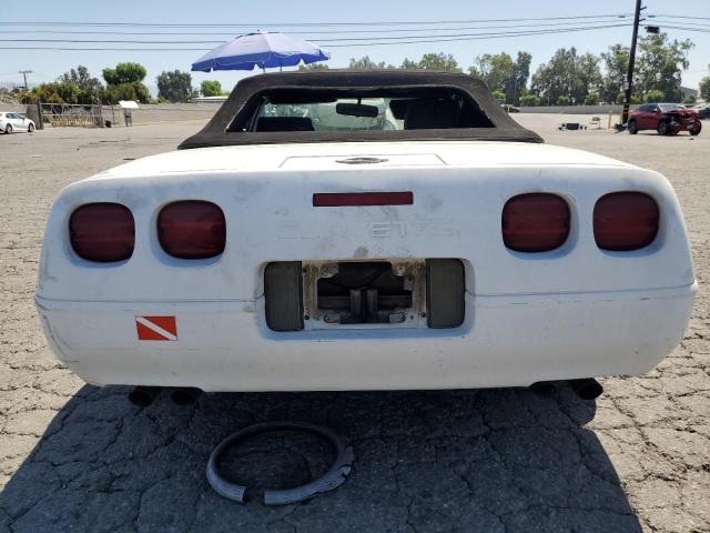 Photo 5 VIN: 1G1YY3382M5116798 - CHEVROLET CORVETTE 