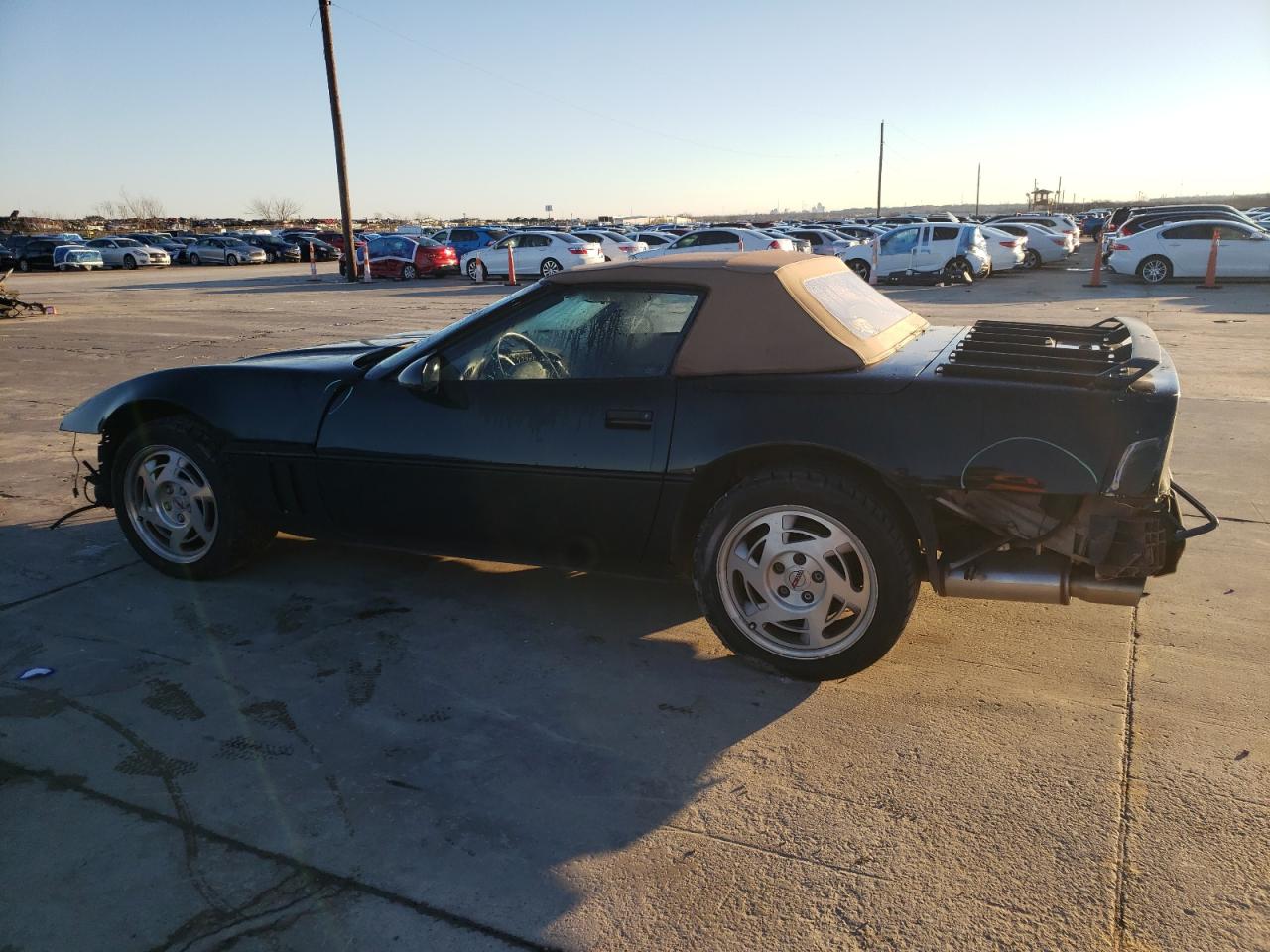 Photo 1 VIN: 1G1YY3387L5102622 - CHEVROLET CORVETTE 