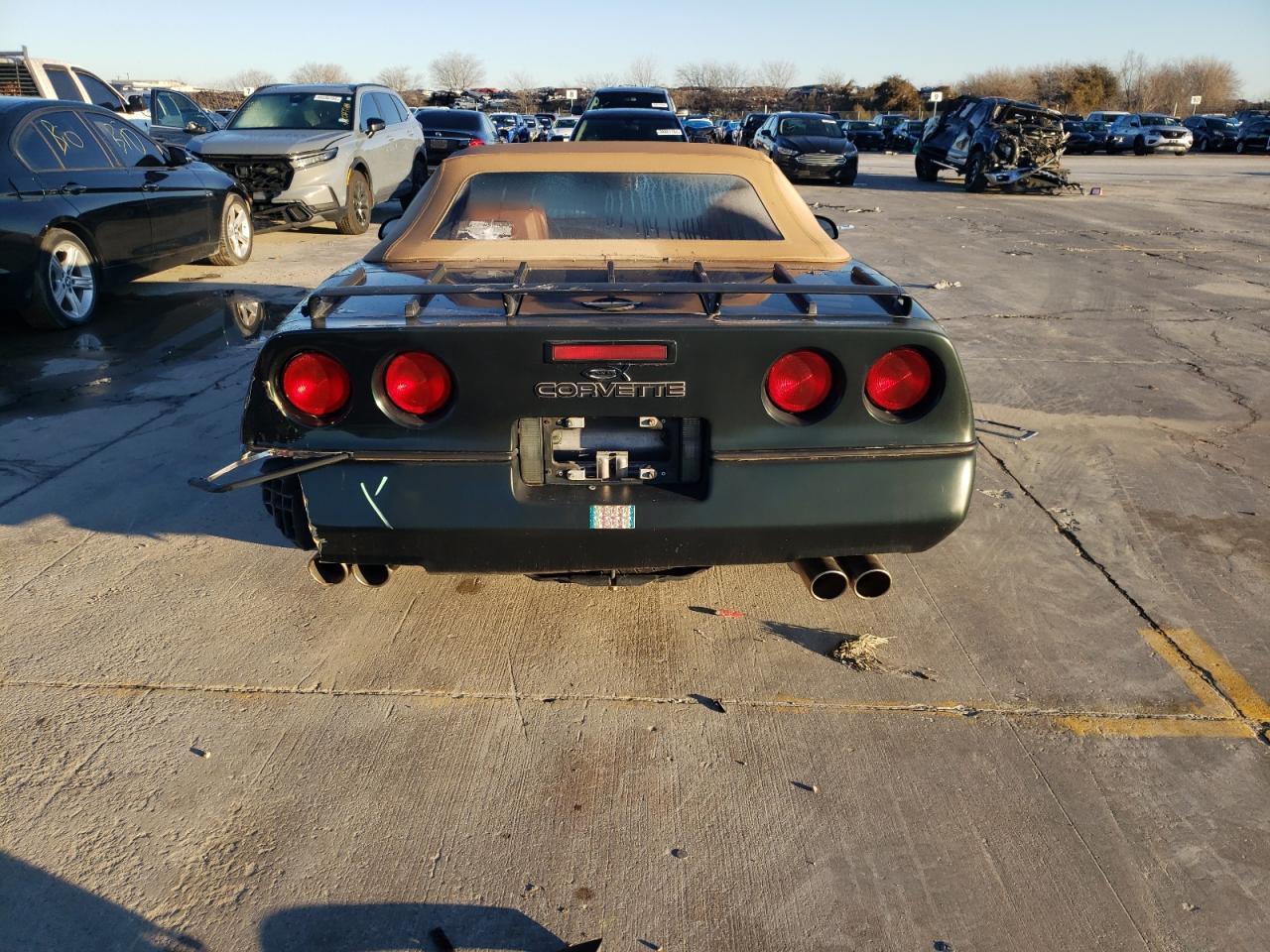 Photo 5 VIN: 1G1YY3387L5102622 - CHEVROLET CORVETTE 