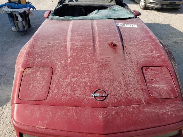 Photo 10 VIN: 1G1YY3389L5102184 - CHEVROLET CORVETTE 