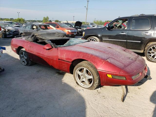 Photo 3 VIN: 1G1YY3389L5102184 - CHEVROLET CORVETTE 