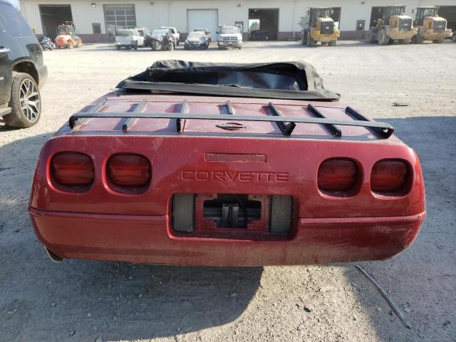 Photo 5 VIN: 1G1YY3389L5102184 - CHEVROLET CORVETTE 