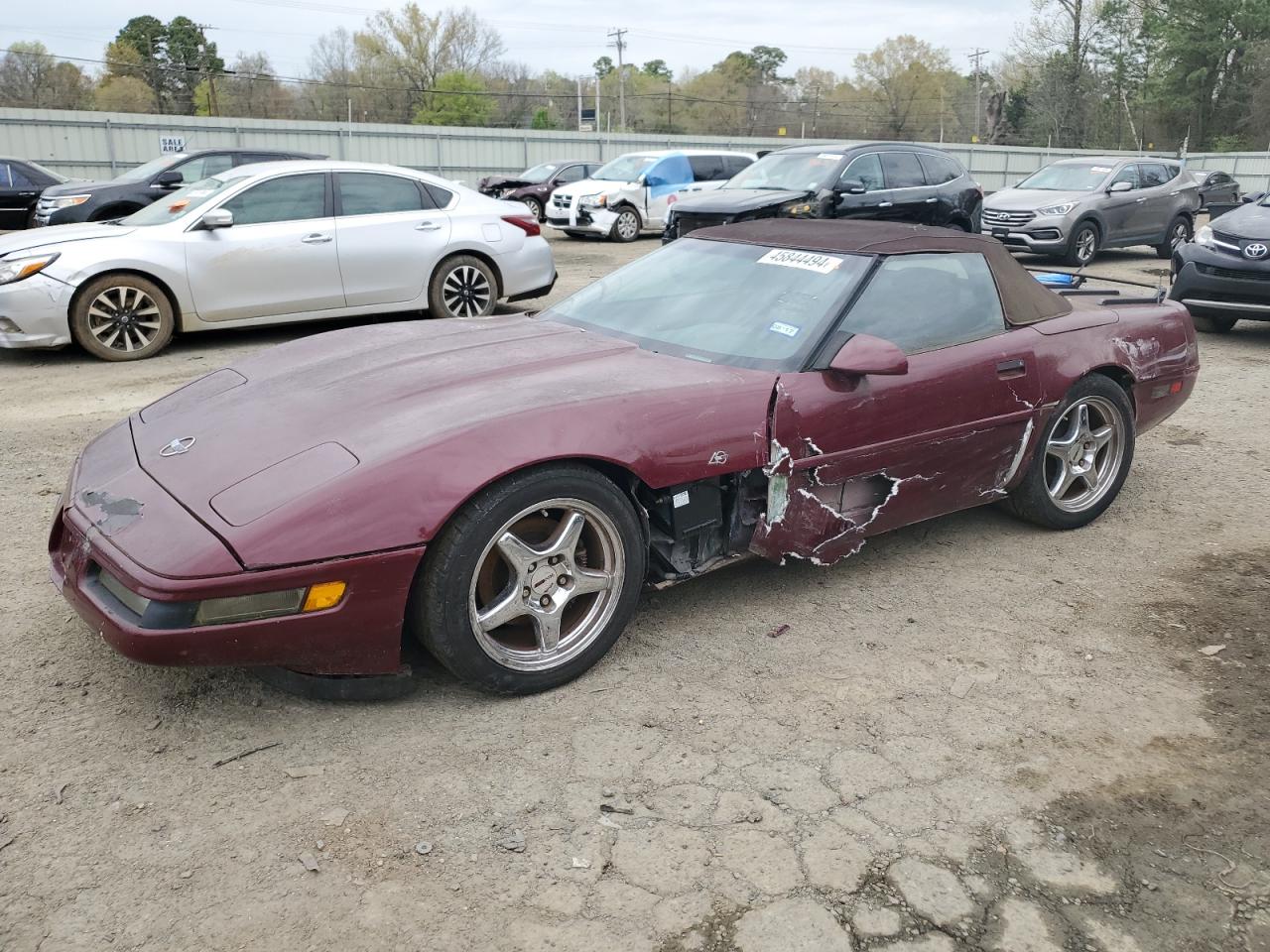 Photo 0 VIN: 1G1YY33P4P5105314 - CHEVROLET CORVETTE 