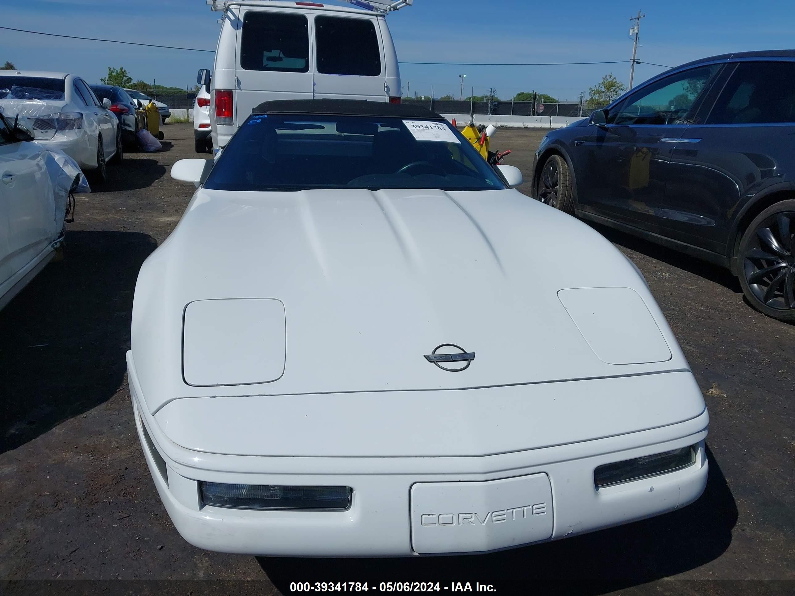 Photo 11 VIN: 1G1YY33P8N5117897 - CHEVROLET CORVETTE 