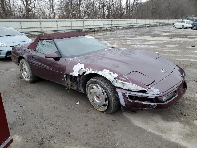 Photo 3 VIN: 1G1YY33PXP5116883 - CHEVROLET CORVETTE 