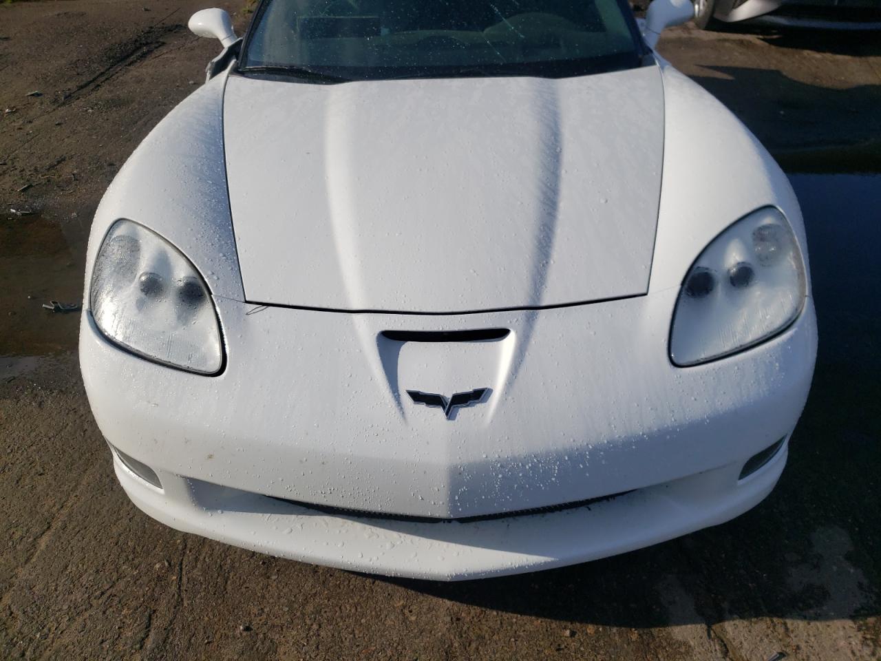 Photo 10 VIN: 1G1YY34U555126156 - CHEVROLET CORVETTE 