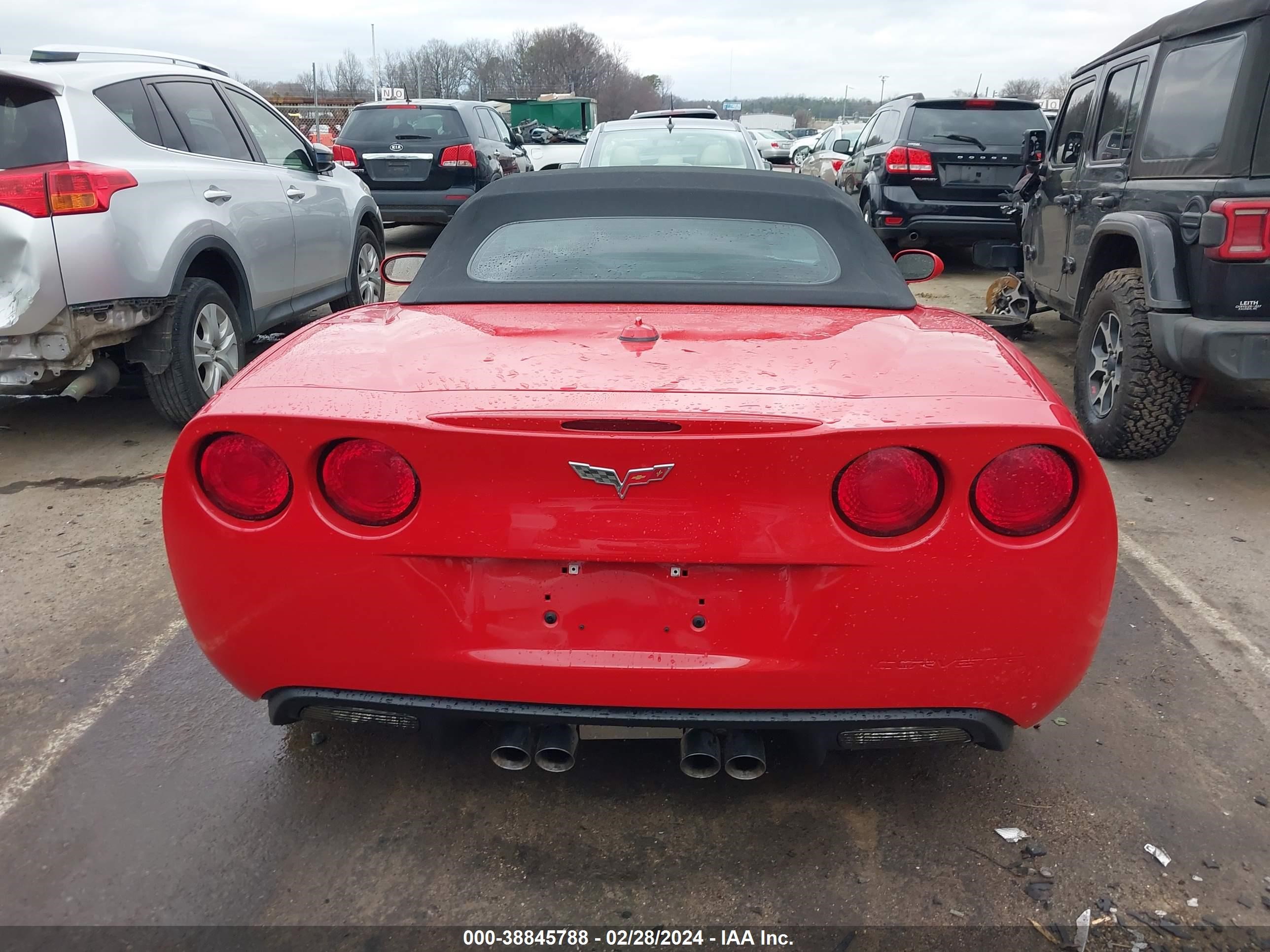 Photo 14 VIN: 1G1YY34U855123543 - CHEVROLET CORVETTE 