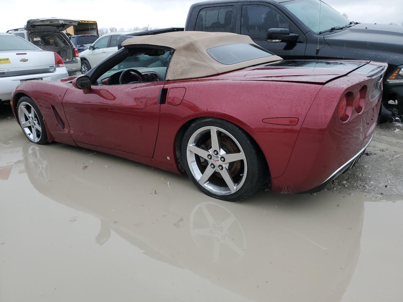 Photo 1 VIN: 1G1YY36U075112343 - CHEVROLET CORVETTE 