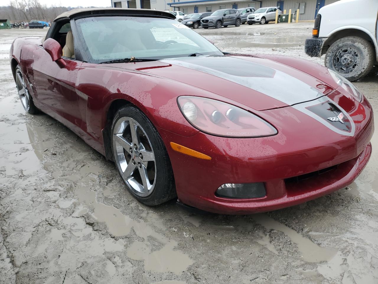 Photo 3 VIN: 1G1YY36U075112343 - CHEVROLET CORVETTE 