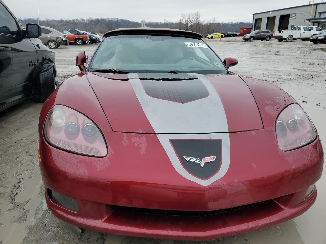 Photo 4 VIN: 1G1YY36U075112343 - CHEVROLET CORVETTE 