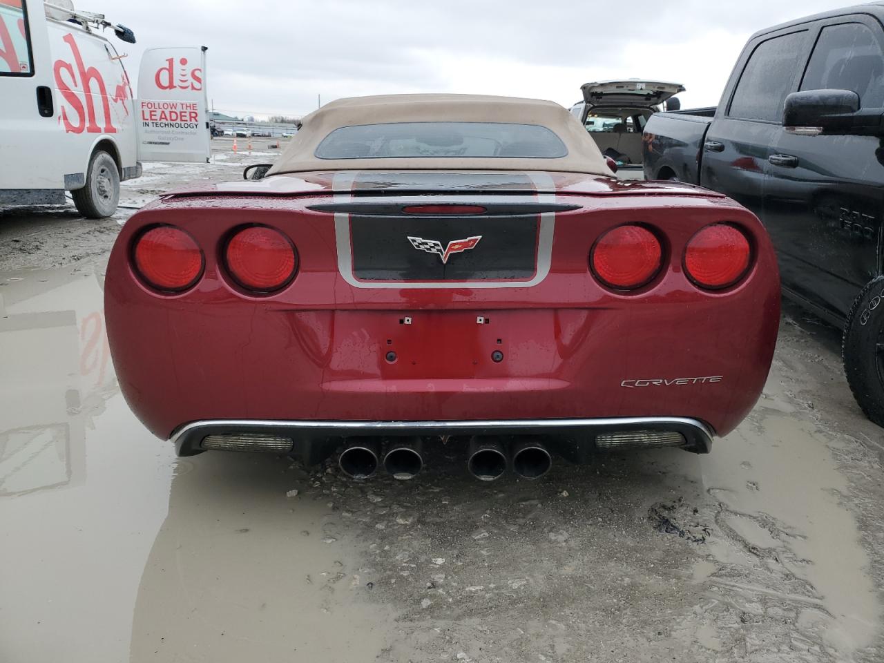 Photo 5 VIN: 1G1YY36U075112343 - CHEVROLET CORVETTE 