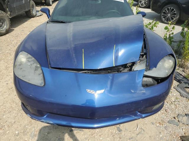 Photo 10 VIN: 1G1YY36U675103081 - CHEVROLET CORVETTE 