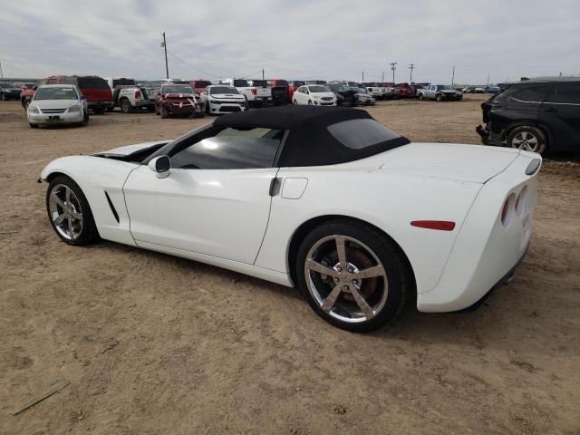 Photo 1 VIN: 1G1YY36W085128187 - CHEVROLET CORVETTE 