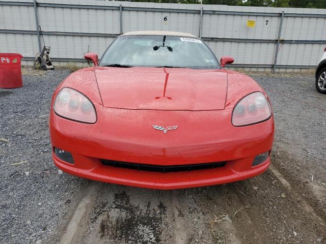 Photo 4 VIN: 1G1YY36W585107299 - CHEVROLET CORVETTE 