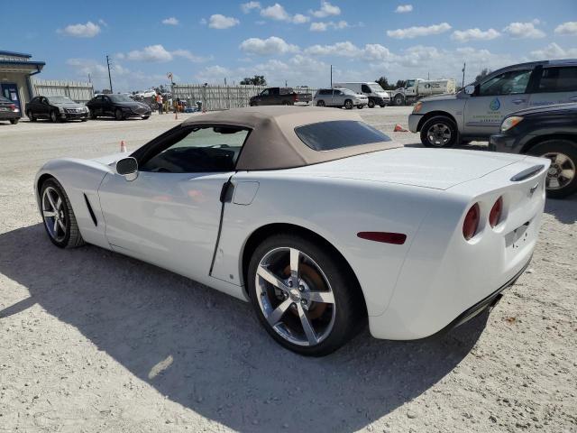 Photo 1 VIN: 1G1YY36W685129361 - CHEVROLET CORVETTE 