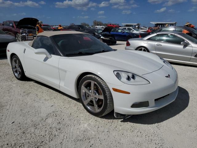 Photo 3 VIN: 1G1YY36W685129361 - CHEVROLET CORVETTE 