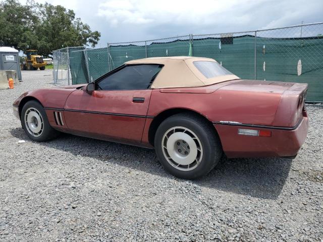 Photo 1 VIN: 1G1YY6783G5905736 - CHEVROLET CORVETTE 