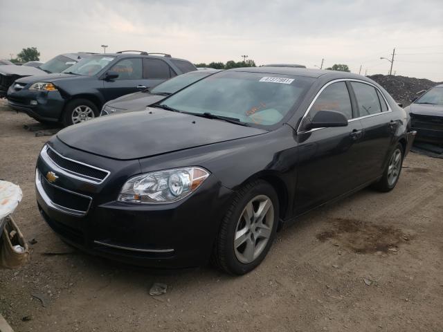 Photo 1 VIN: 1G1ZA5E00CF233140 - CHEVROLET MALIBU LS 